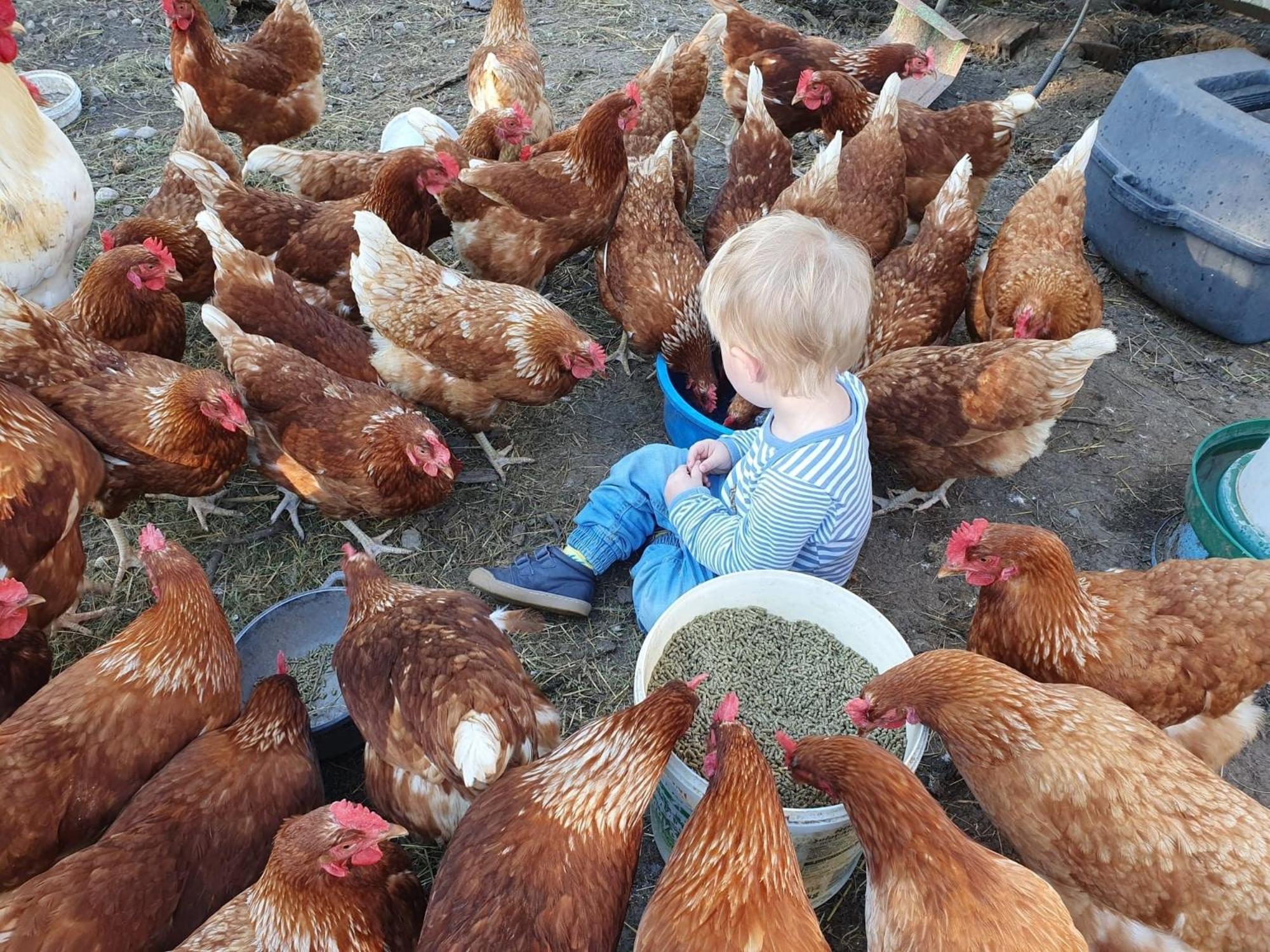 Biohof Neihausmo Daire Böbing Dış mekan fotoğraf